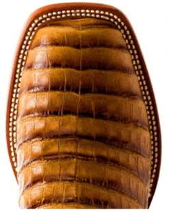 Horse Power Men's Toasted Caiman Print Western Boots - Square Toe -Twisted X Sales 2000285899 280 P5