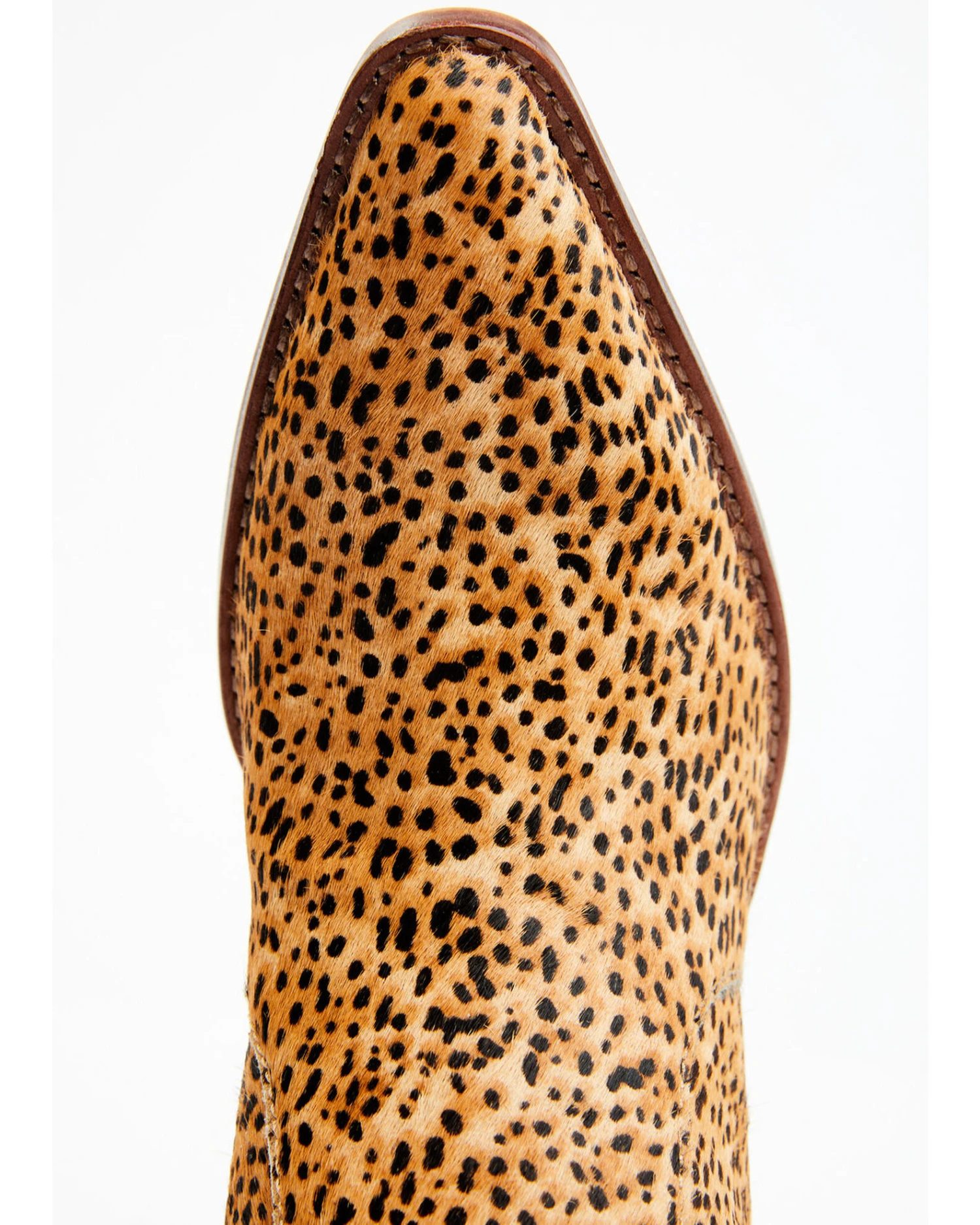 Dolce Vita Women's Volli Boots - Pointed Toe 8 Dolce Vita Women's Volli Boots - Pointed Toe - Image 6